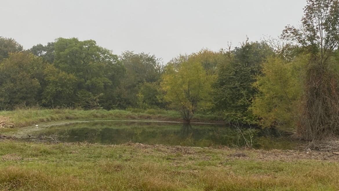 157 acre ranch in Red River County, Texas