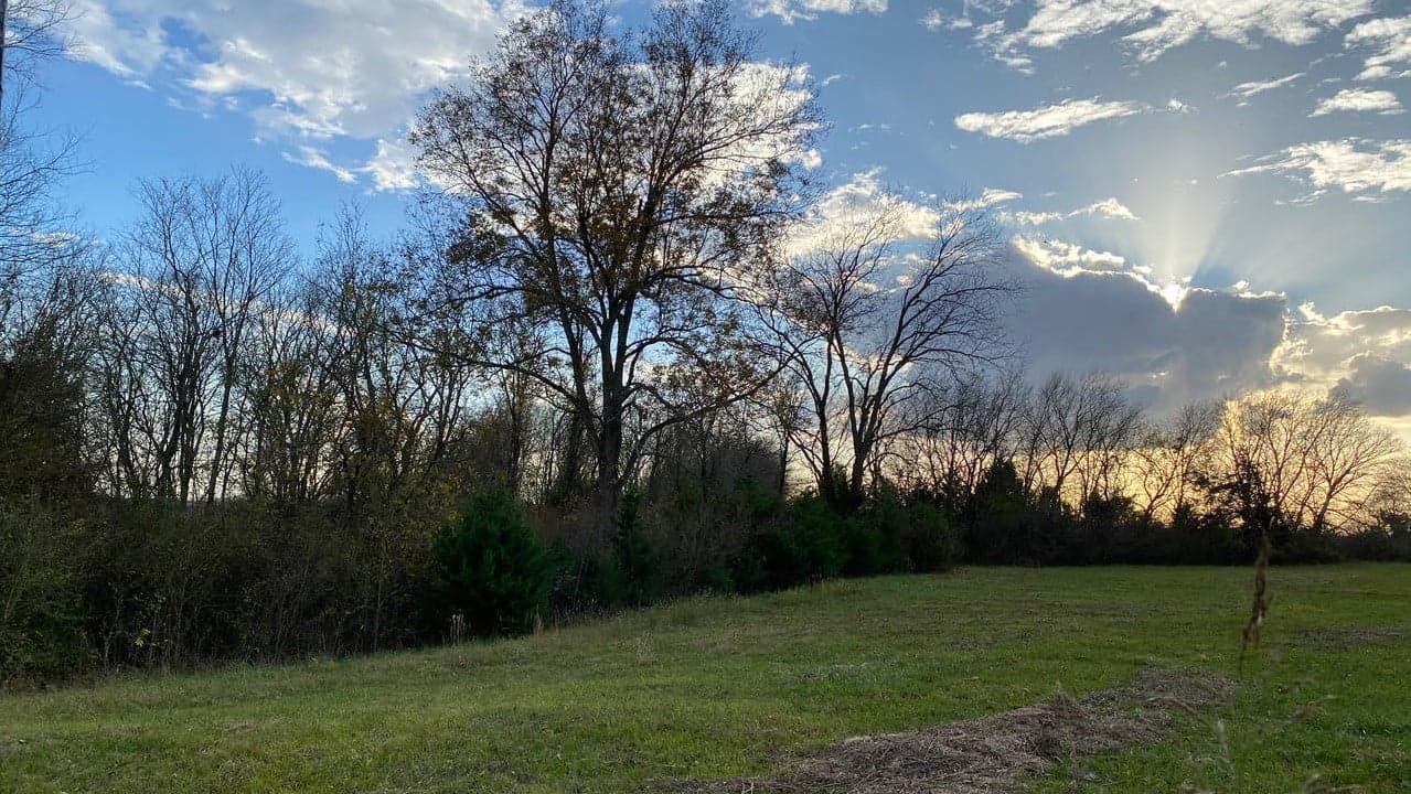 Overview of 80.73 acre ranch in Lamar County, Texas