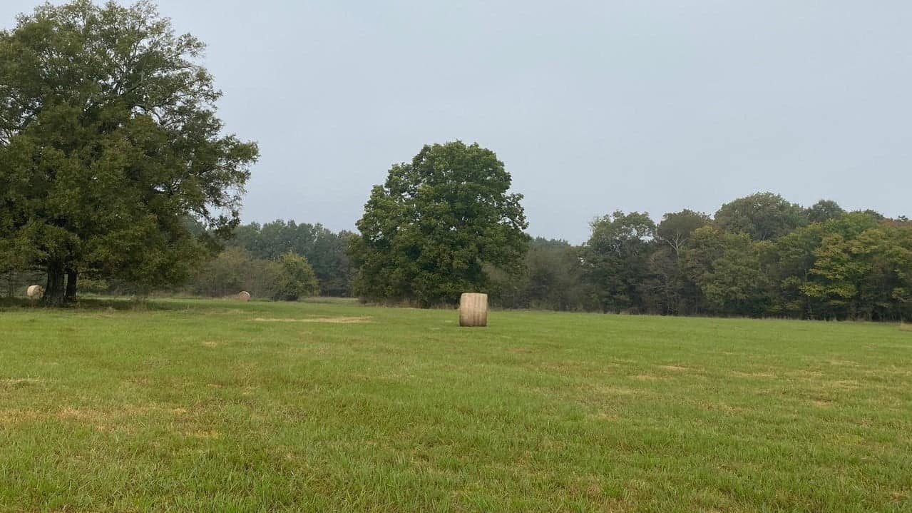 31 acre hunting land in Red River County, Texas