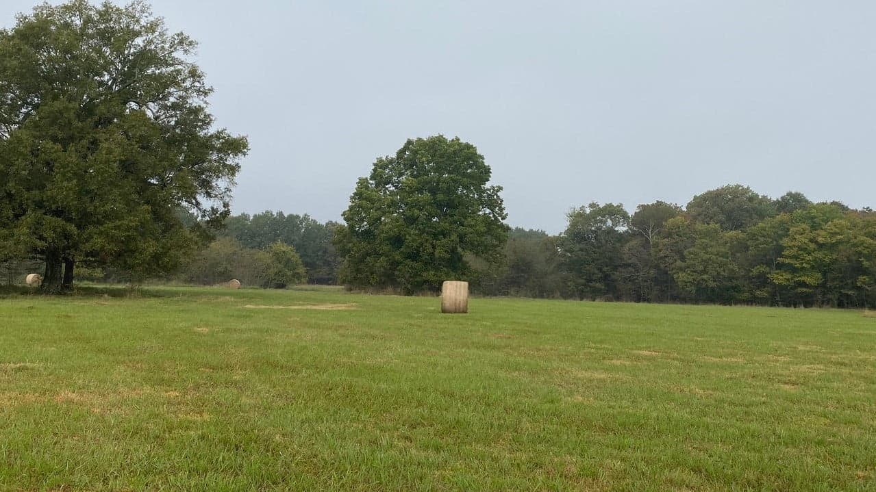 Overview of 31 acre hunting land in Red River County, Texas