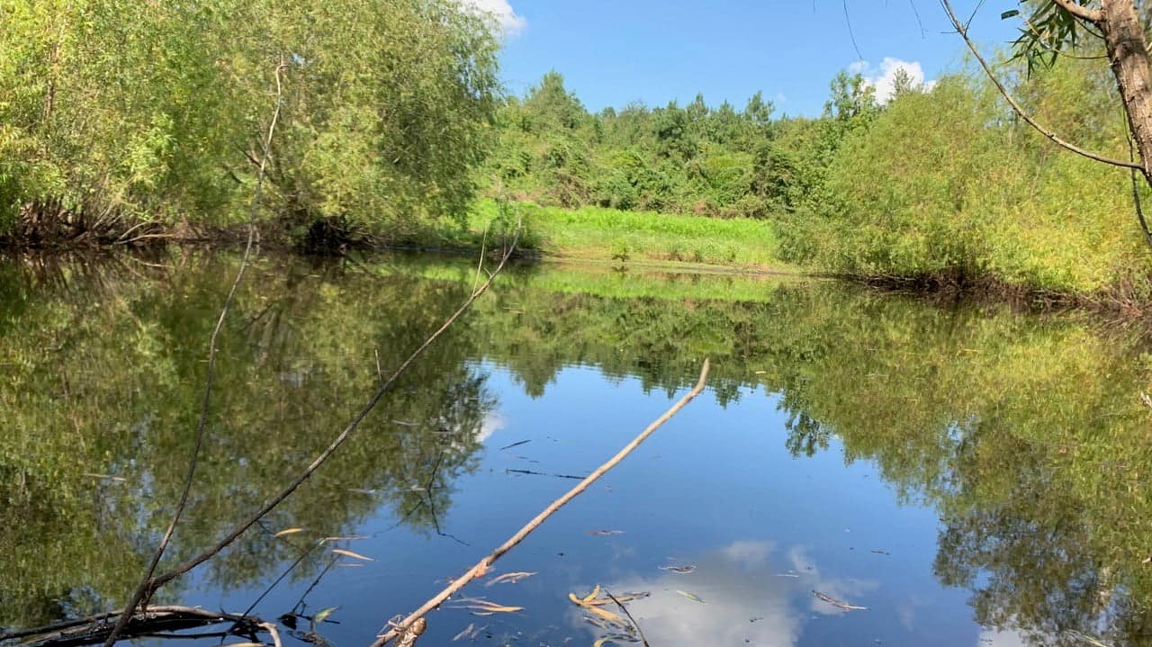 124.21 acre ranch in Cass County, Texas