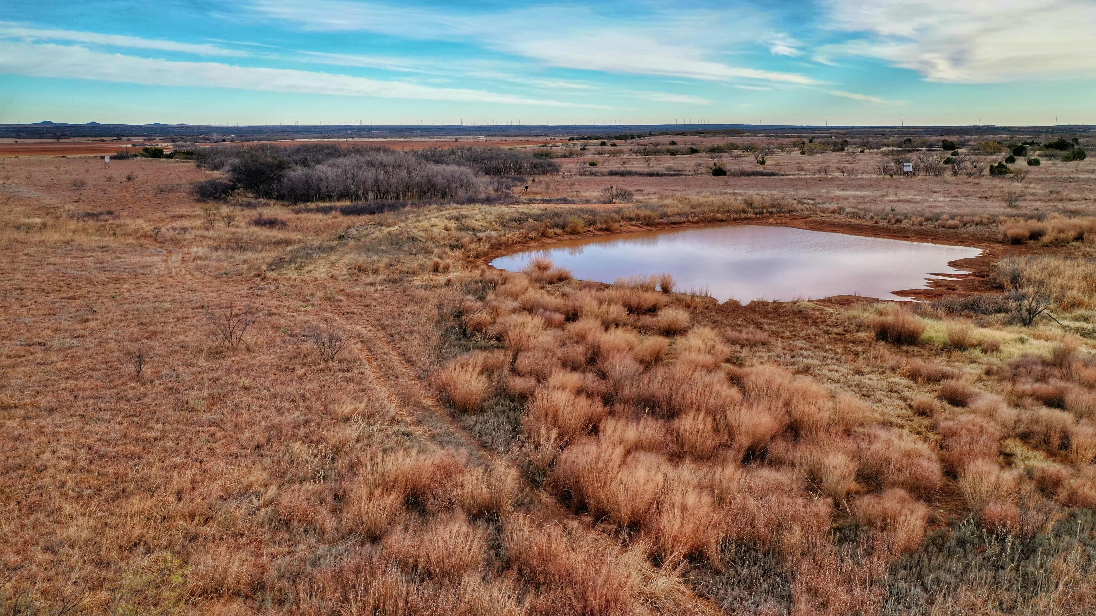 80 acre hunting land in Foard County, Texas