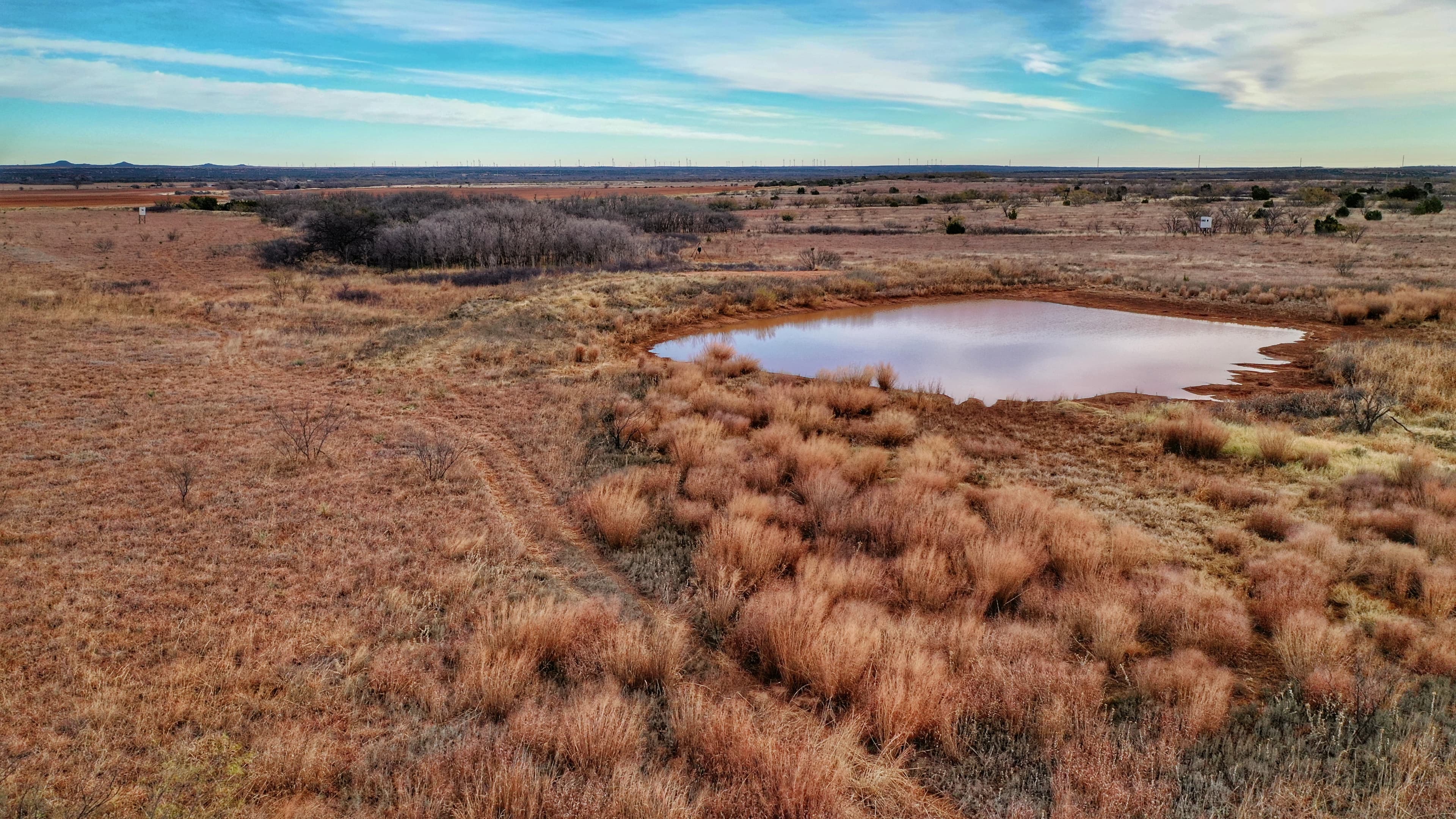 Overview of 80 acre hunting land in Foard County, Texas