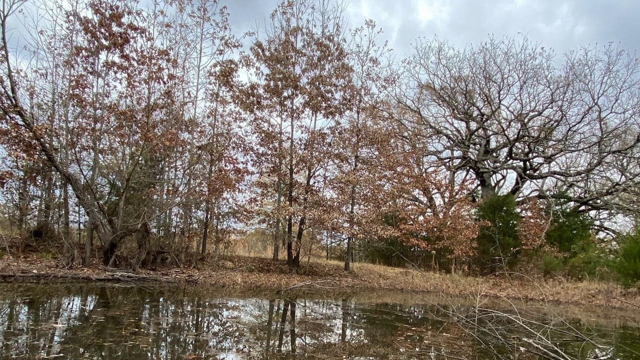Overview of 2.1 acre ranch in Titus County, Texas