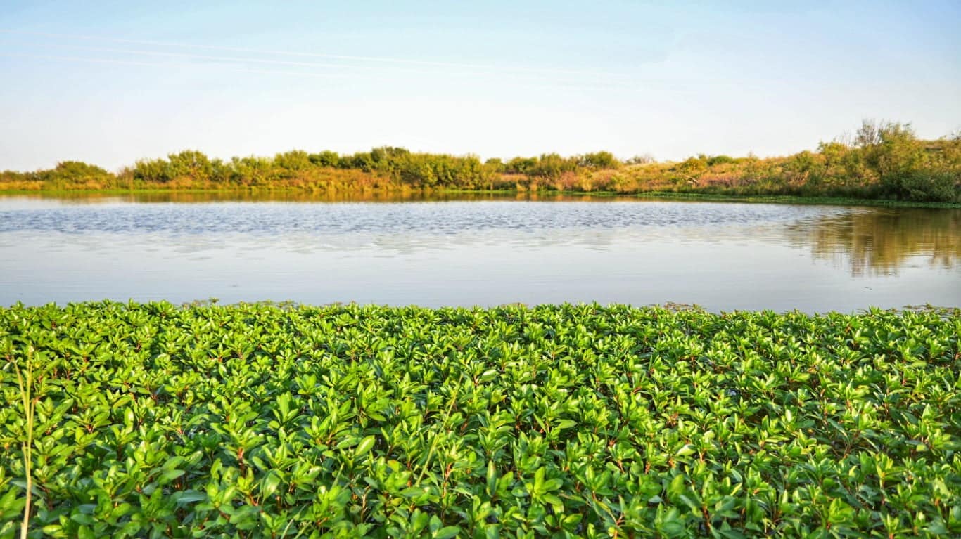 106 acre ranch in Wichita County, Texas