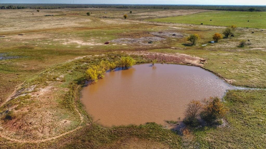Overview of 55 acre ranch in Clay County, Texas