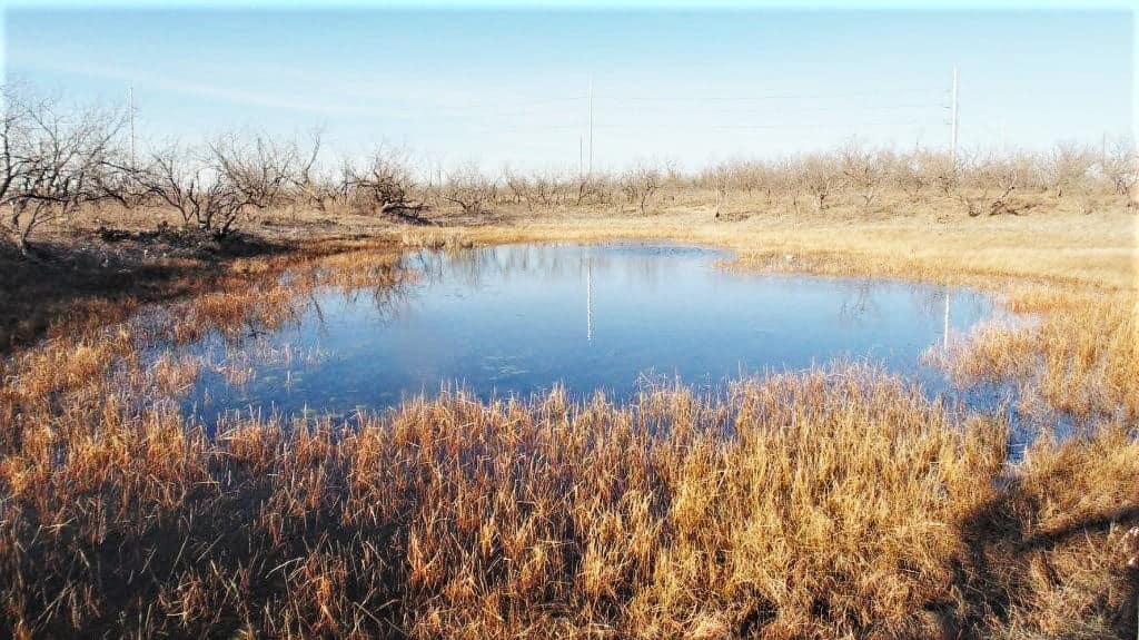 18.6 acre hunting land in Jones County, Texas
