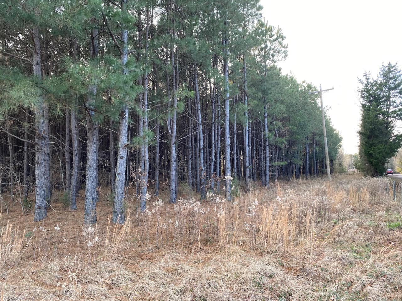 17 acre ranch in Morris County, Texas