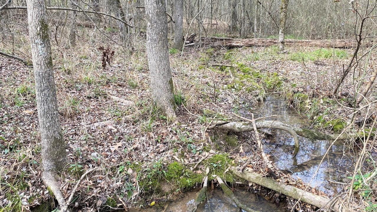 8.51 acre ranch in Morris County, Texas