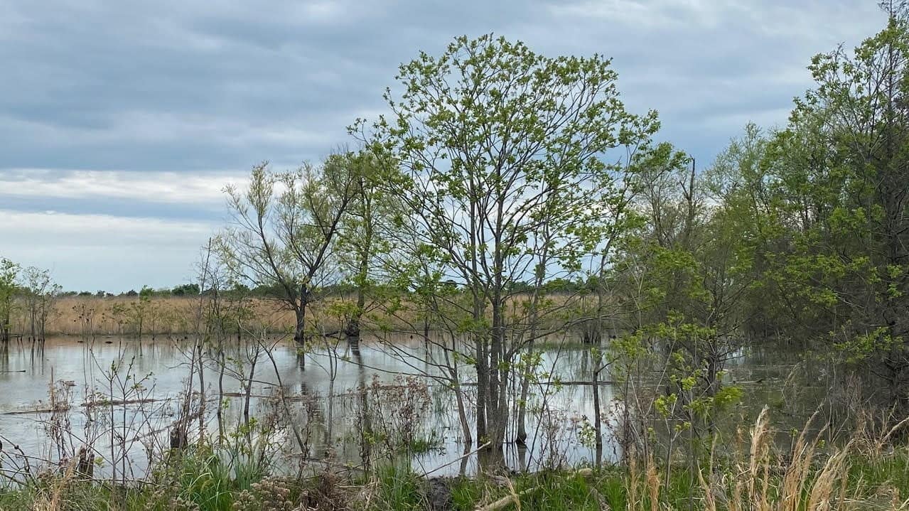 163.8 acre farm in Red River County, Texas