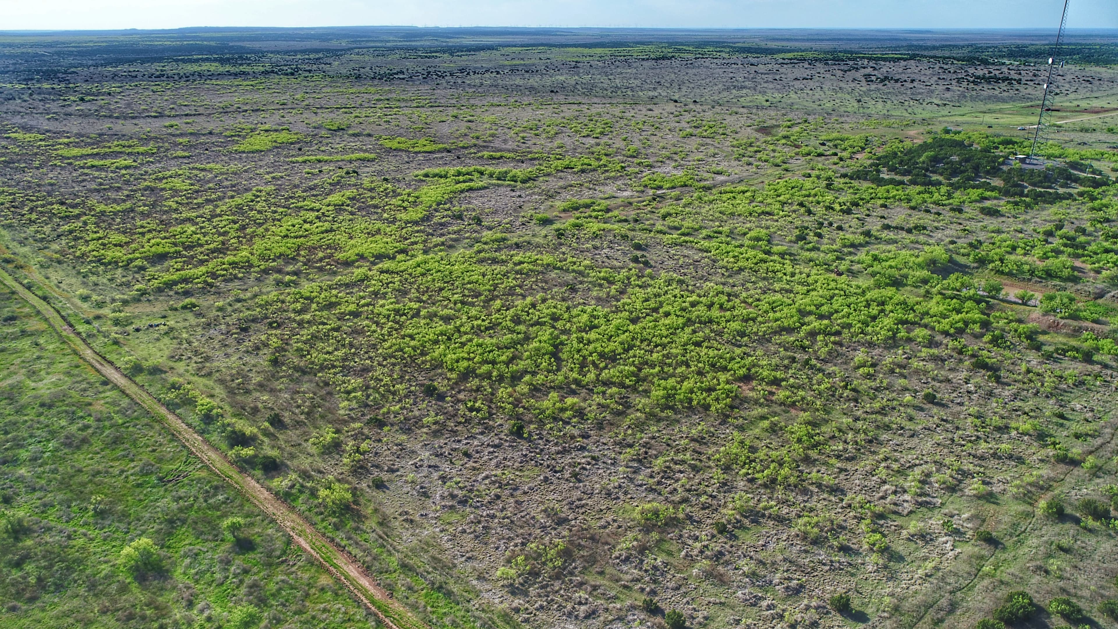 Overview of 214 acre hunting land in Foard County, Texas