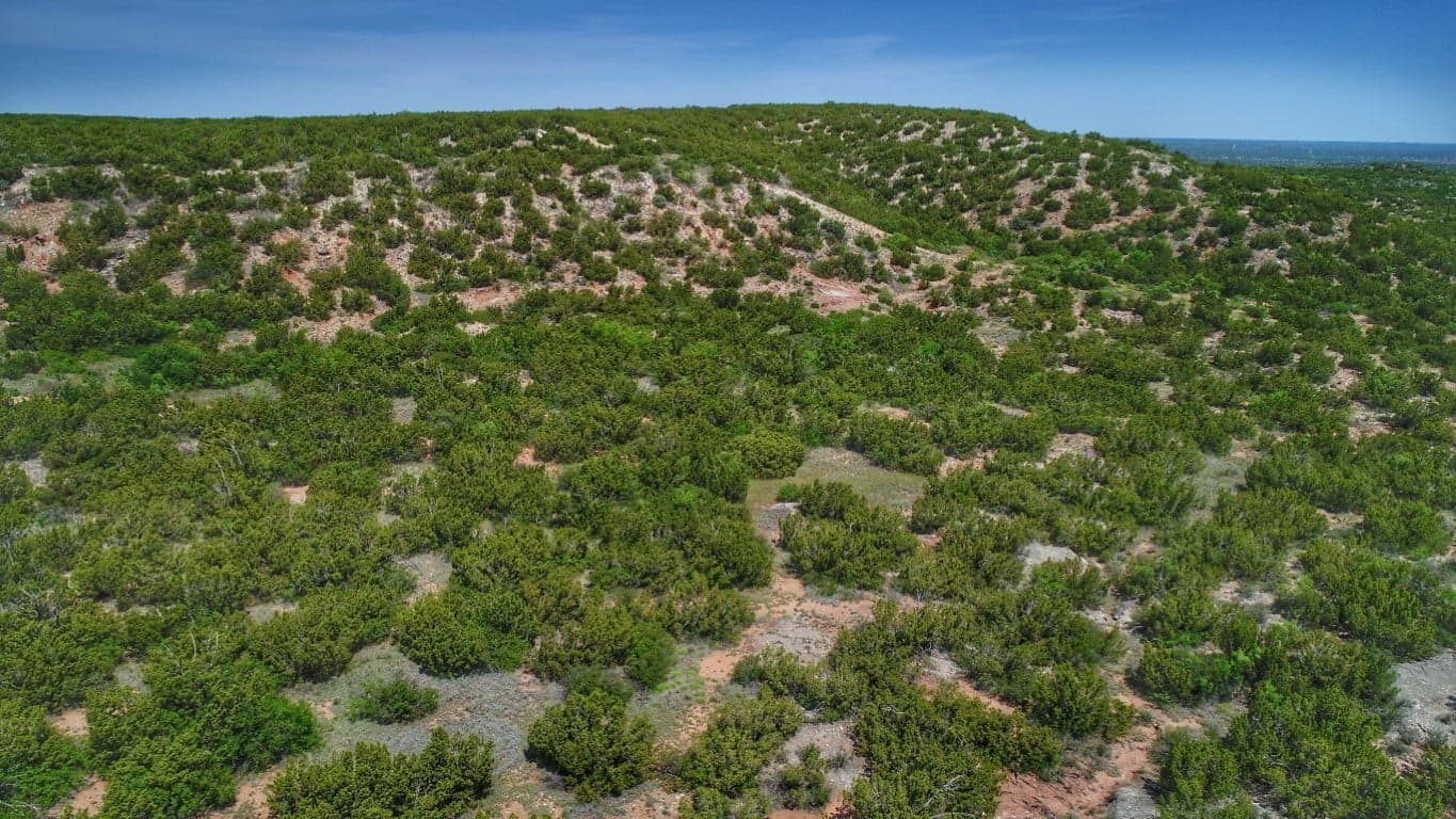 Overview of 960 acre hunting land in Foard County, Texas
