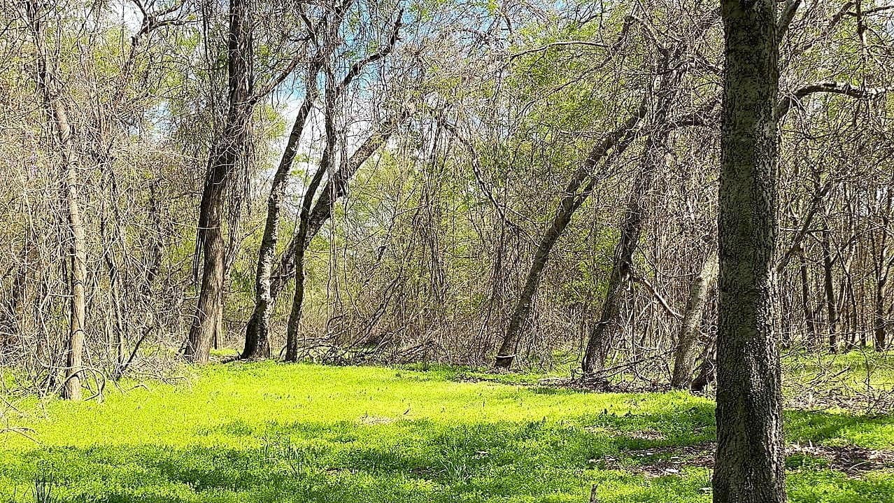 21.71 acre ranch in Titus County, Texas