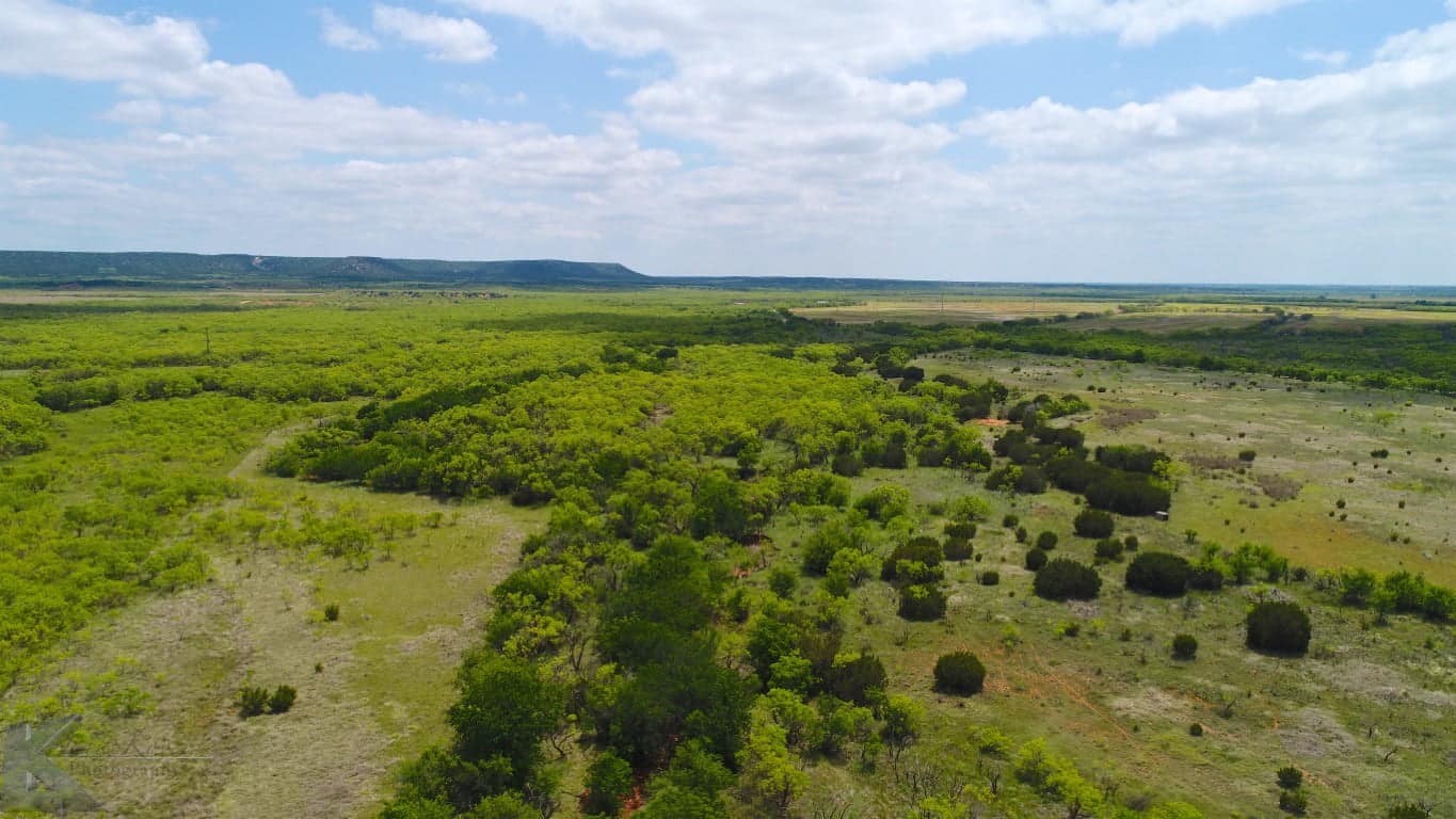 95 acre hunting land in Taylor County, Texas