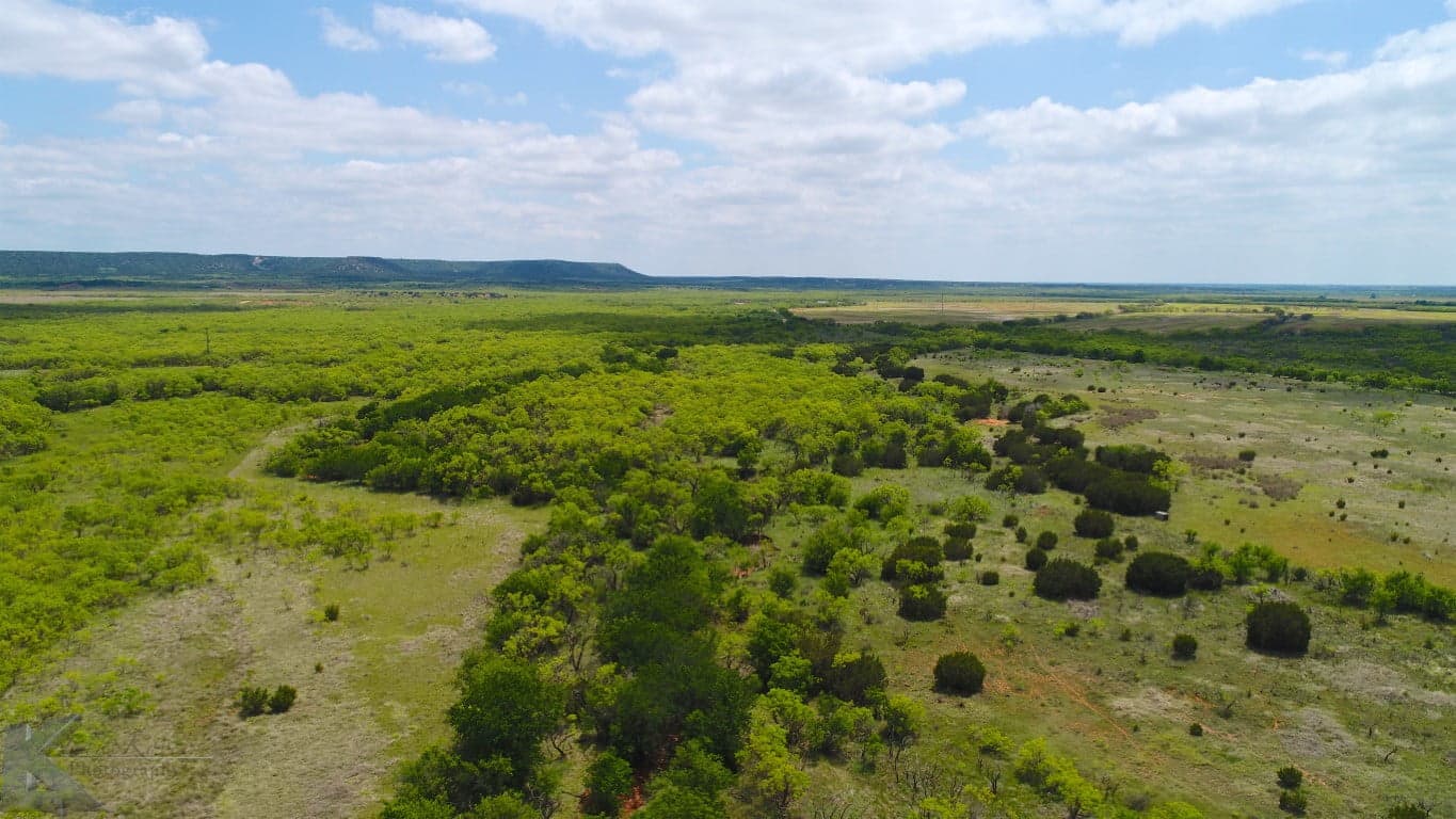 Overview of 95 acre hunting land in Taylor County, Texas