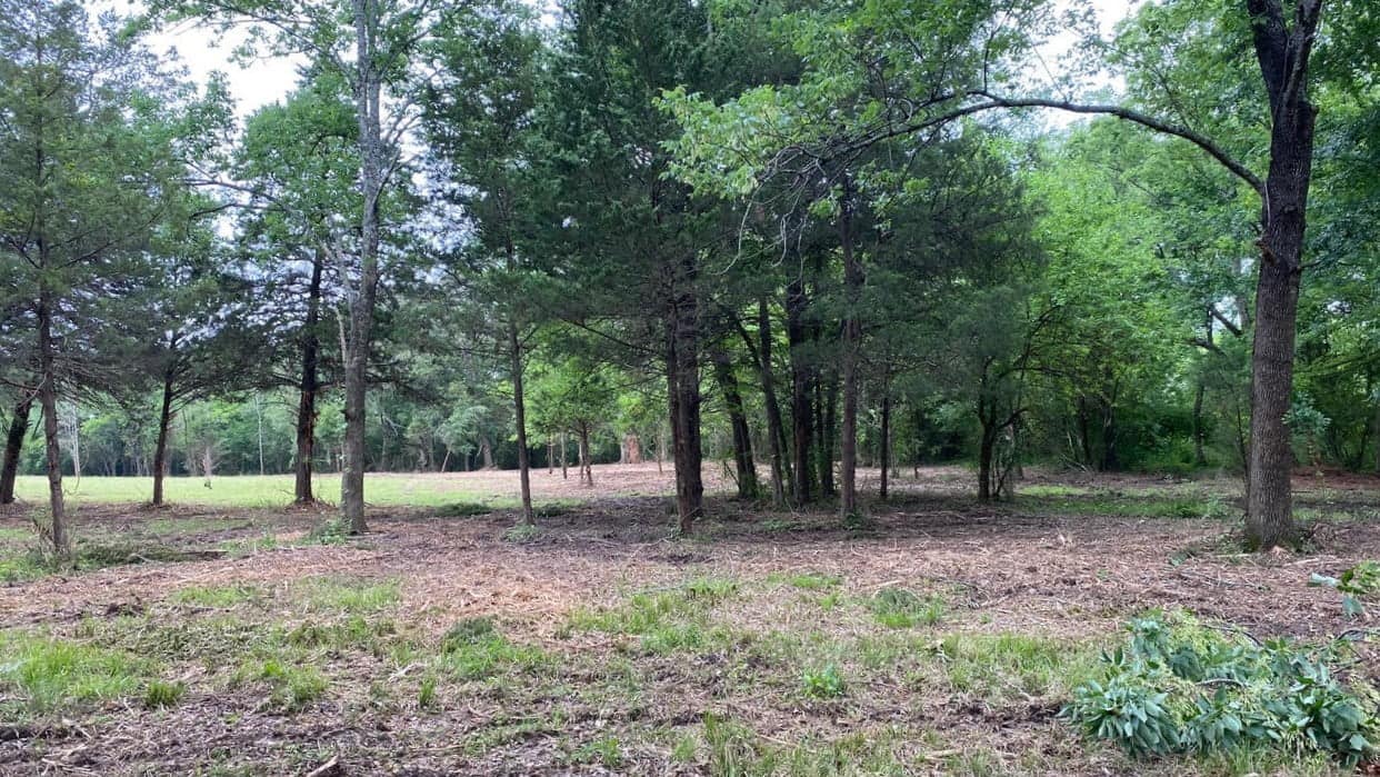 11 acre ranch in Franklin County, Texas