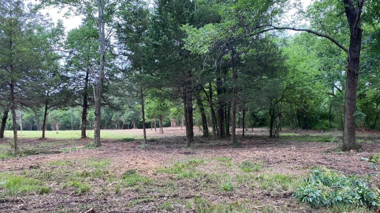 Overview of 11 acre ranch in Franklin County, Texas