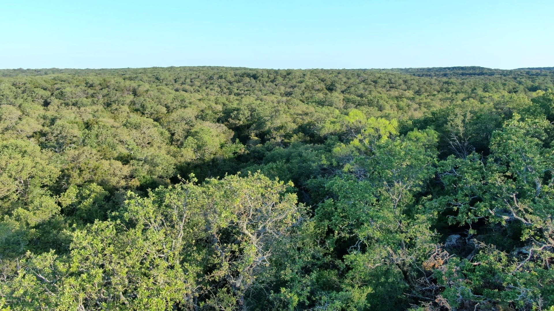 165 acre hunting land in Young County, Texas