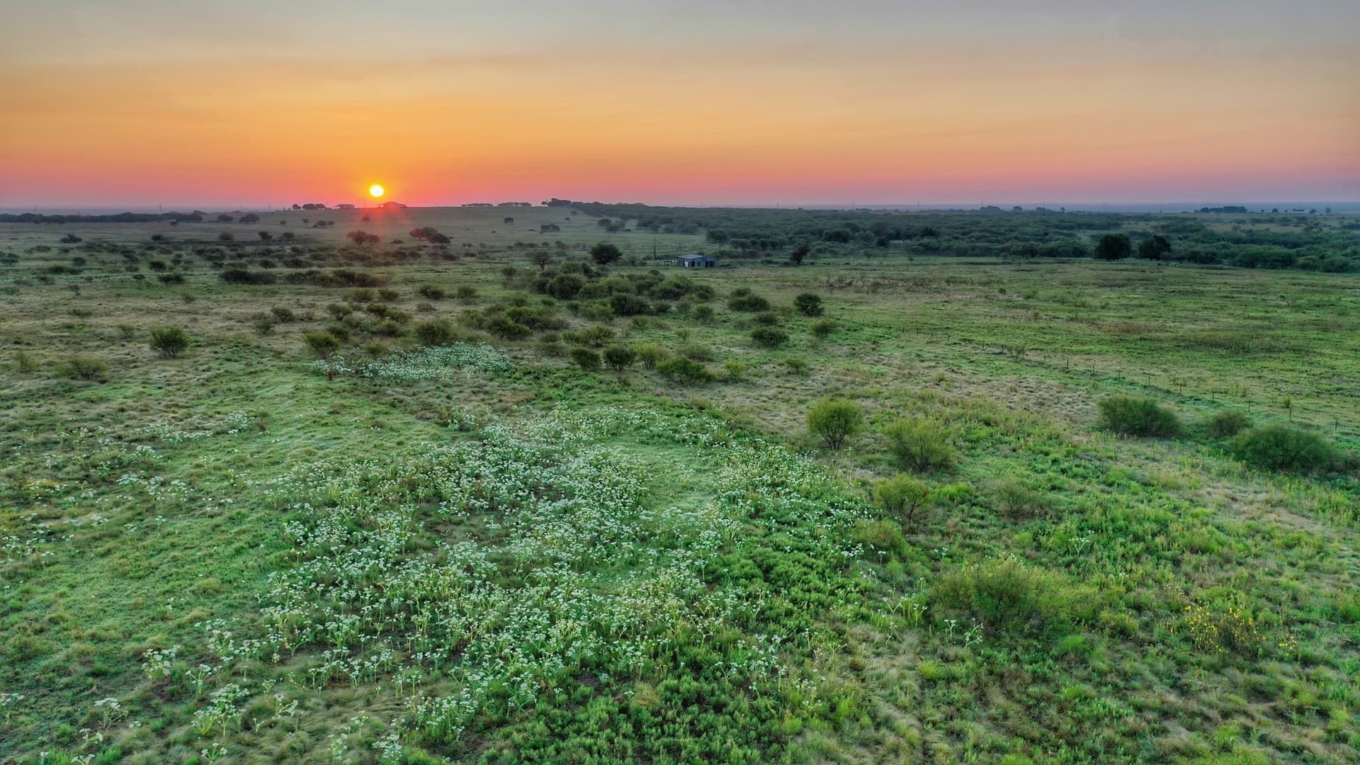 Overview of 367 acre farm in Clay County, Texas