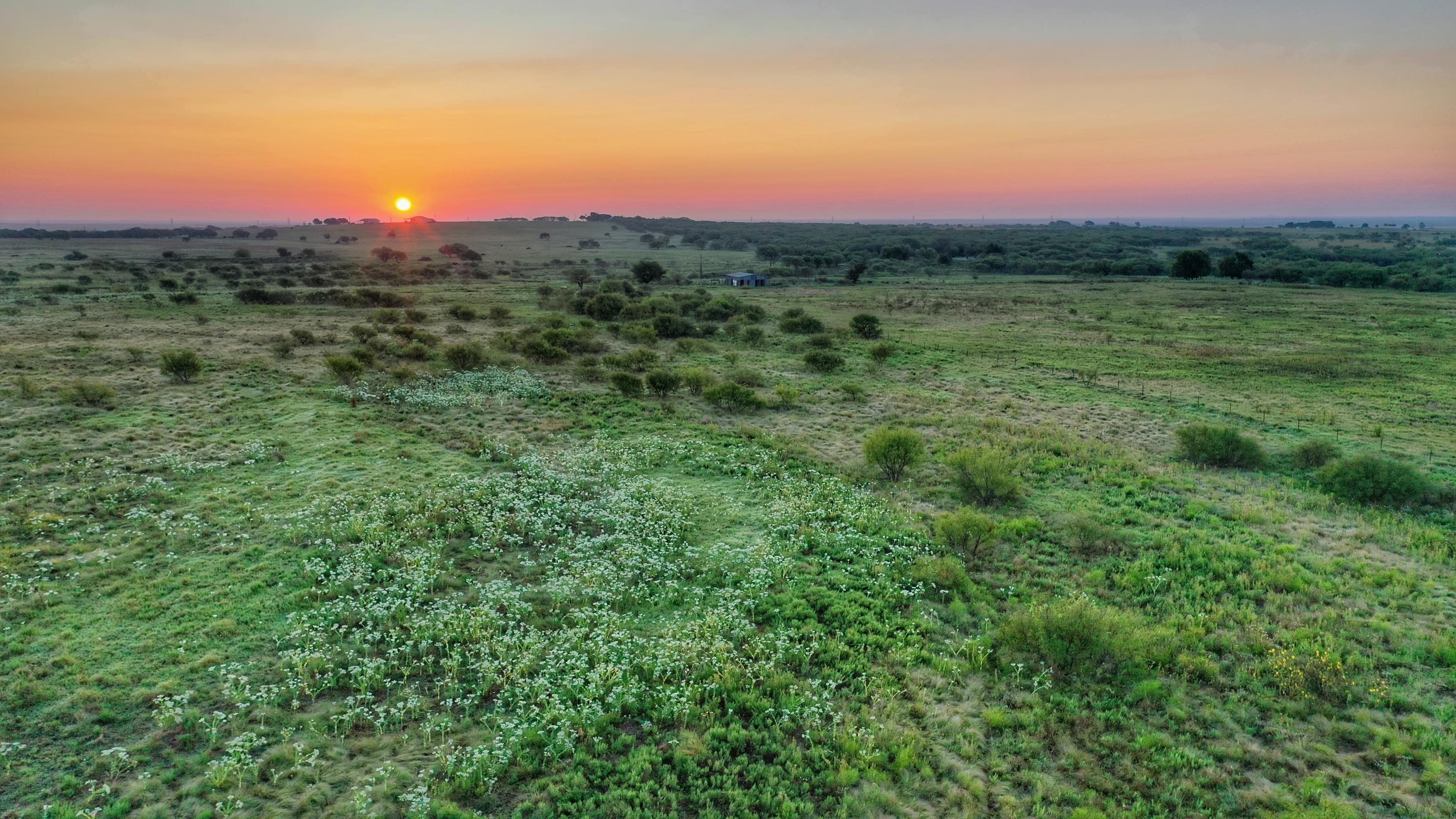 367 acre farm in Clay County, Texas