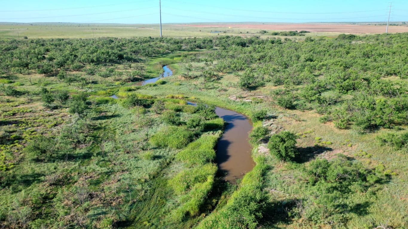 390 acre timberland in King County, Texas