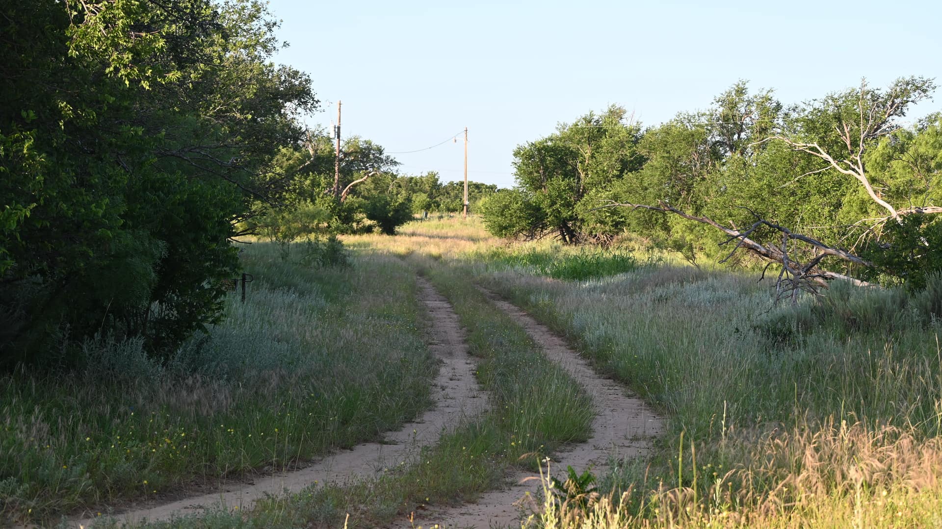 300 acre timberland in King County, Texas
