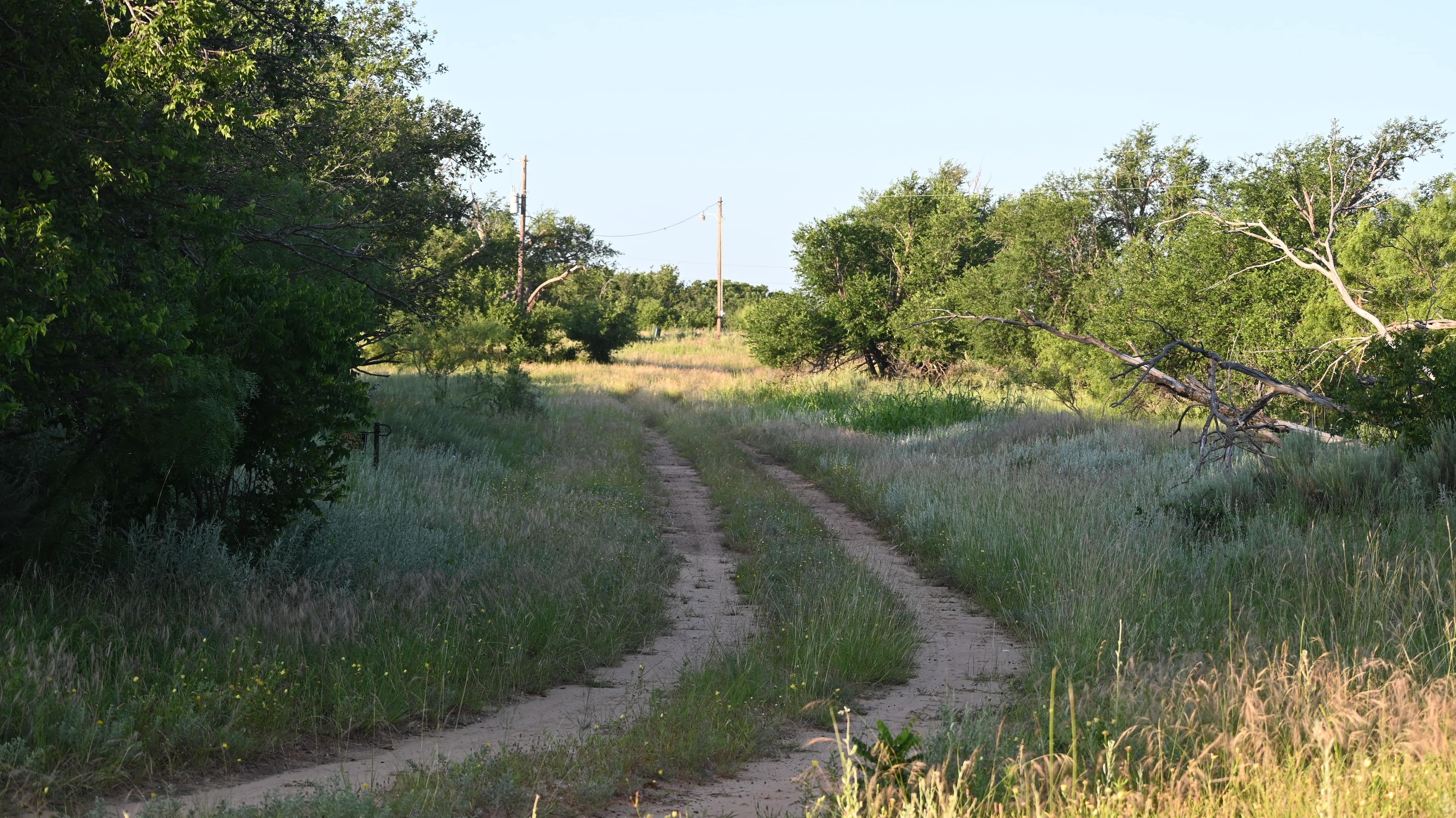 300 acre timberland in King County, Texas