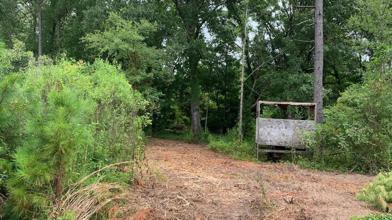 58.24 acre timberland in Bowie County, Texas