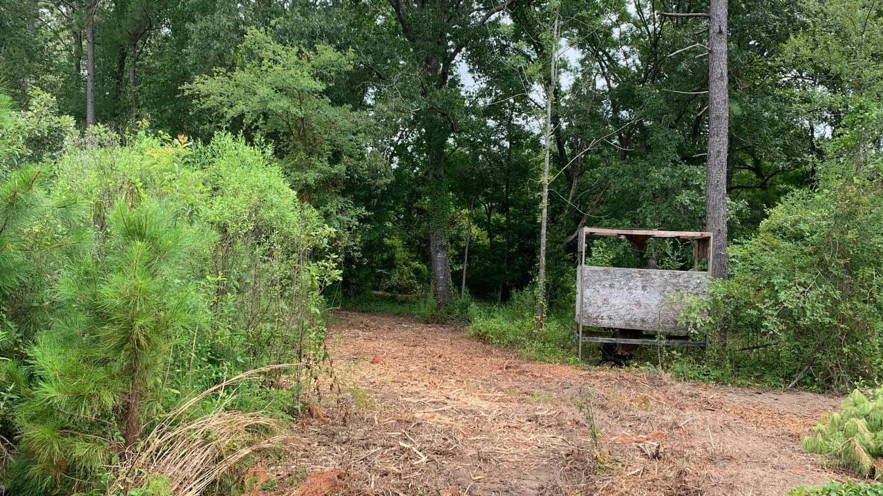 Overview of 58.24 acre timberland in Bowie County, Texas