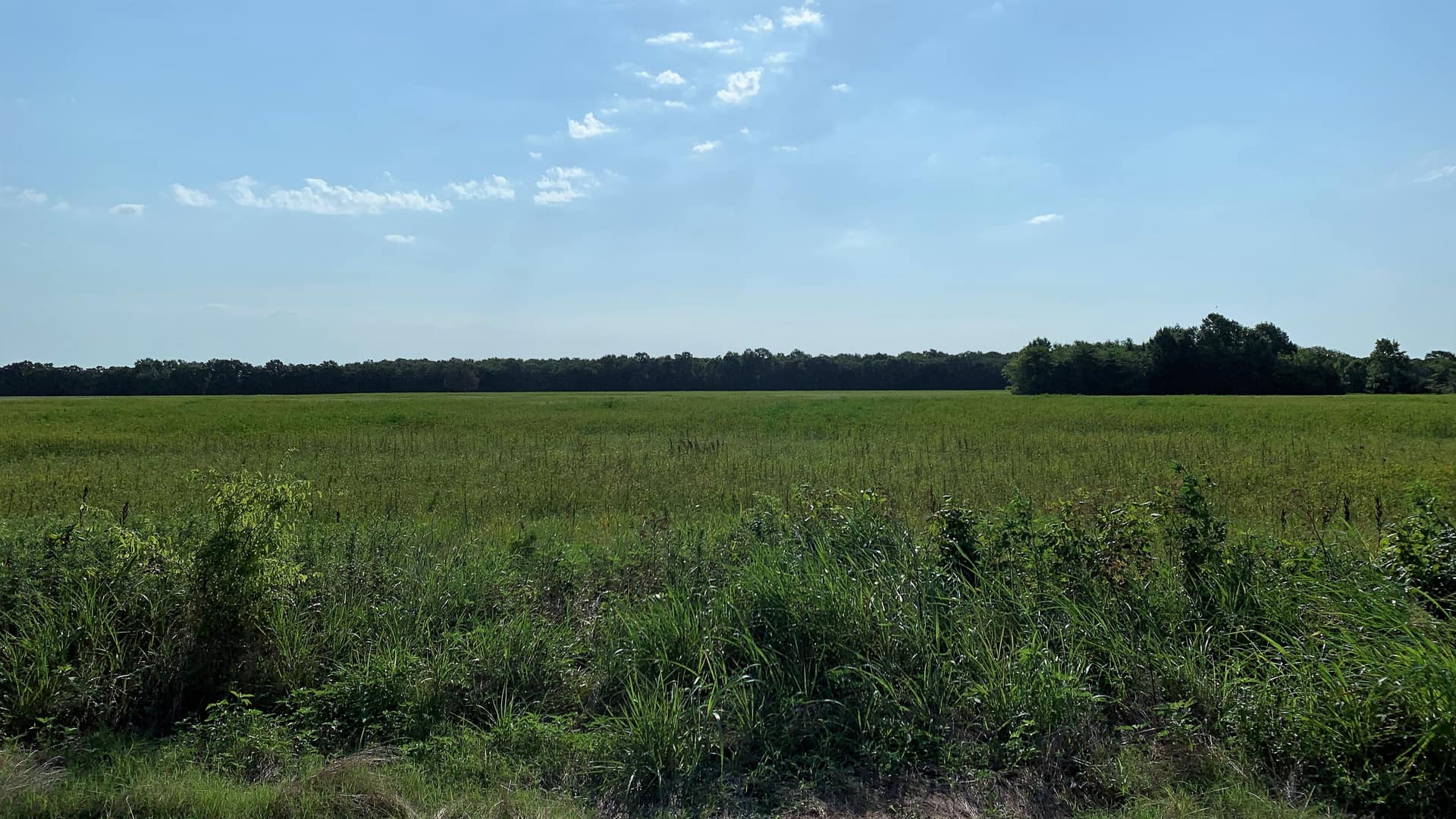45.72 acre ranch in Lamar County, Texas