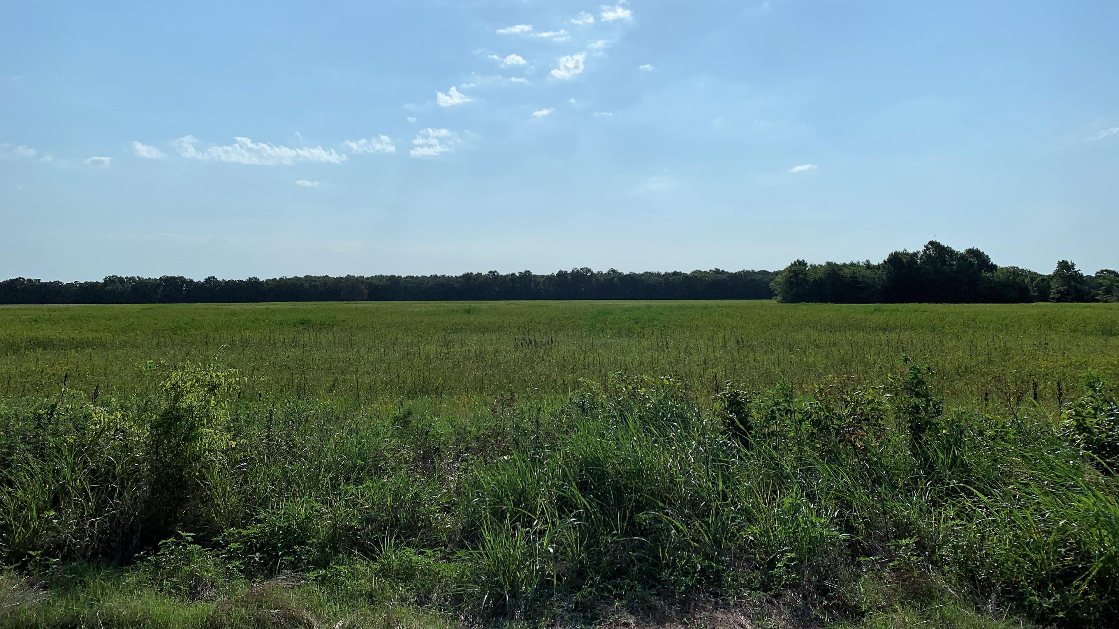 45.72 acre ranch in Lamar County, Texas