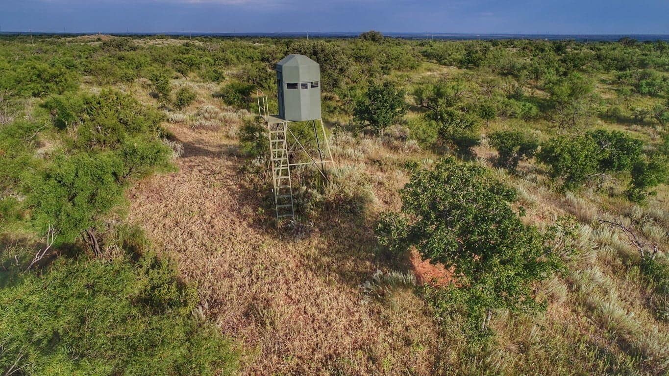 200 acre timberland in King County, Texas