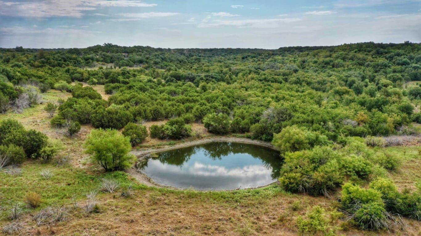 Overview of 226 acre timberland in Palo Pinto County, Texas