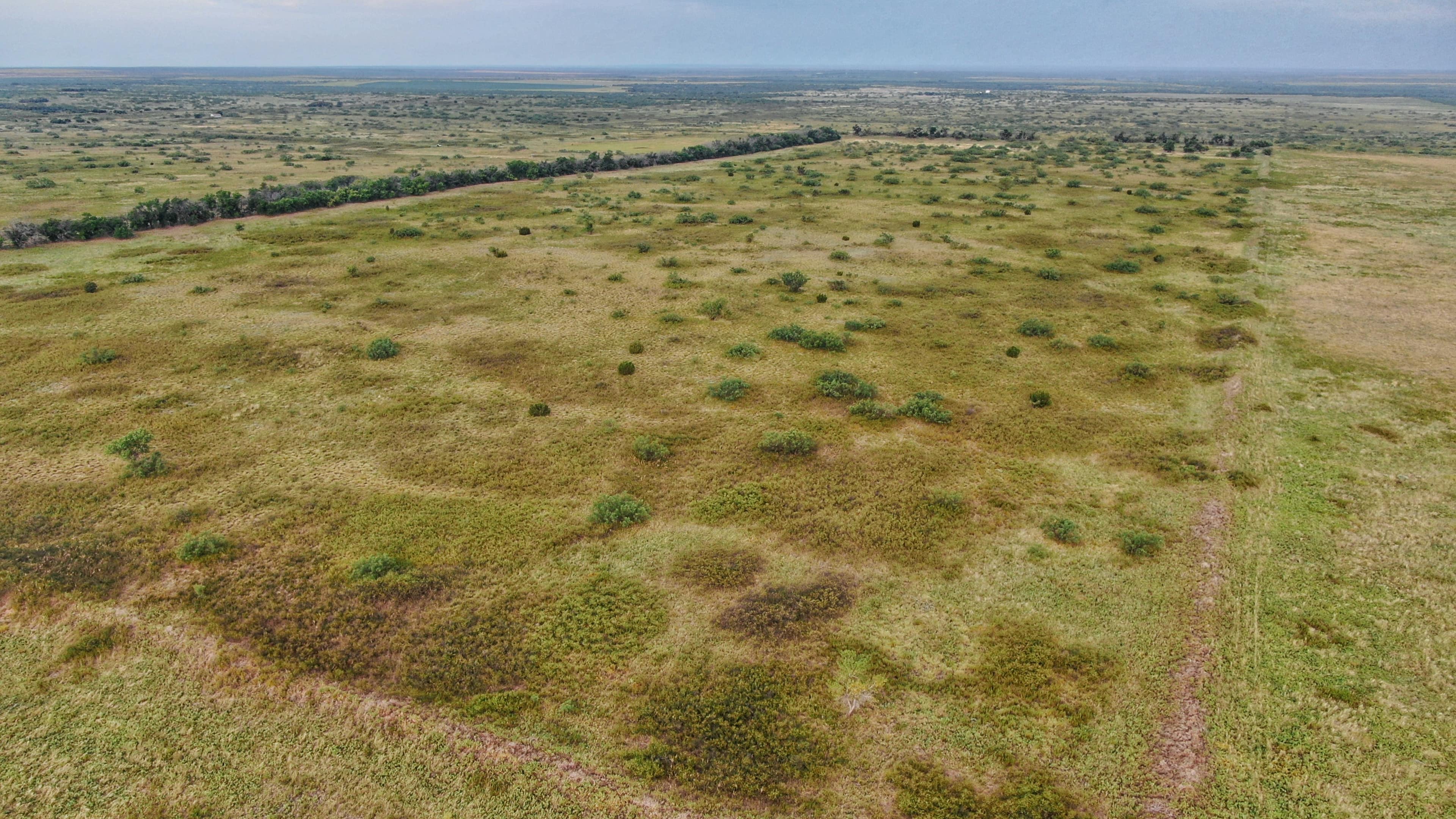 334 acre timberland in King County, Texas