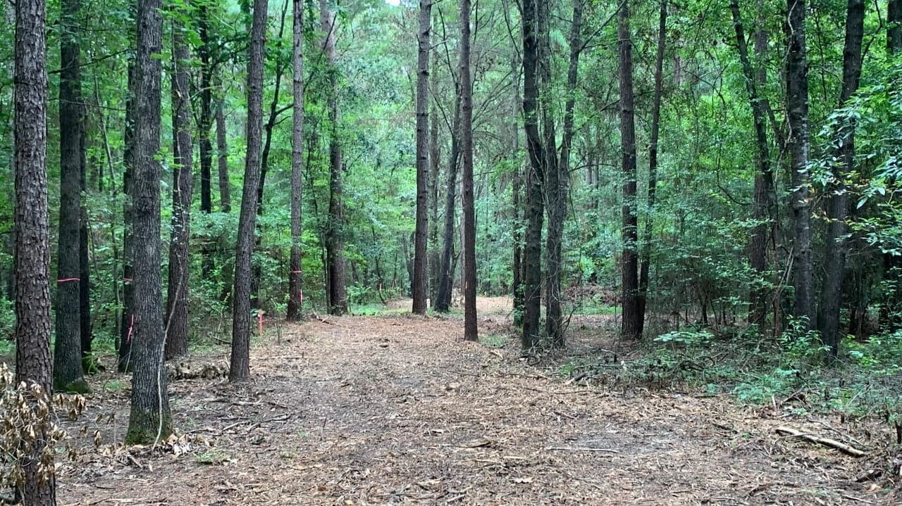 Overview of 20.41 acre timberland in Bowie County, Texas