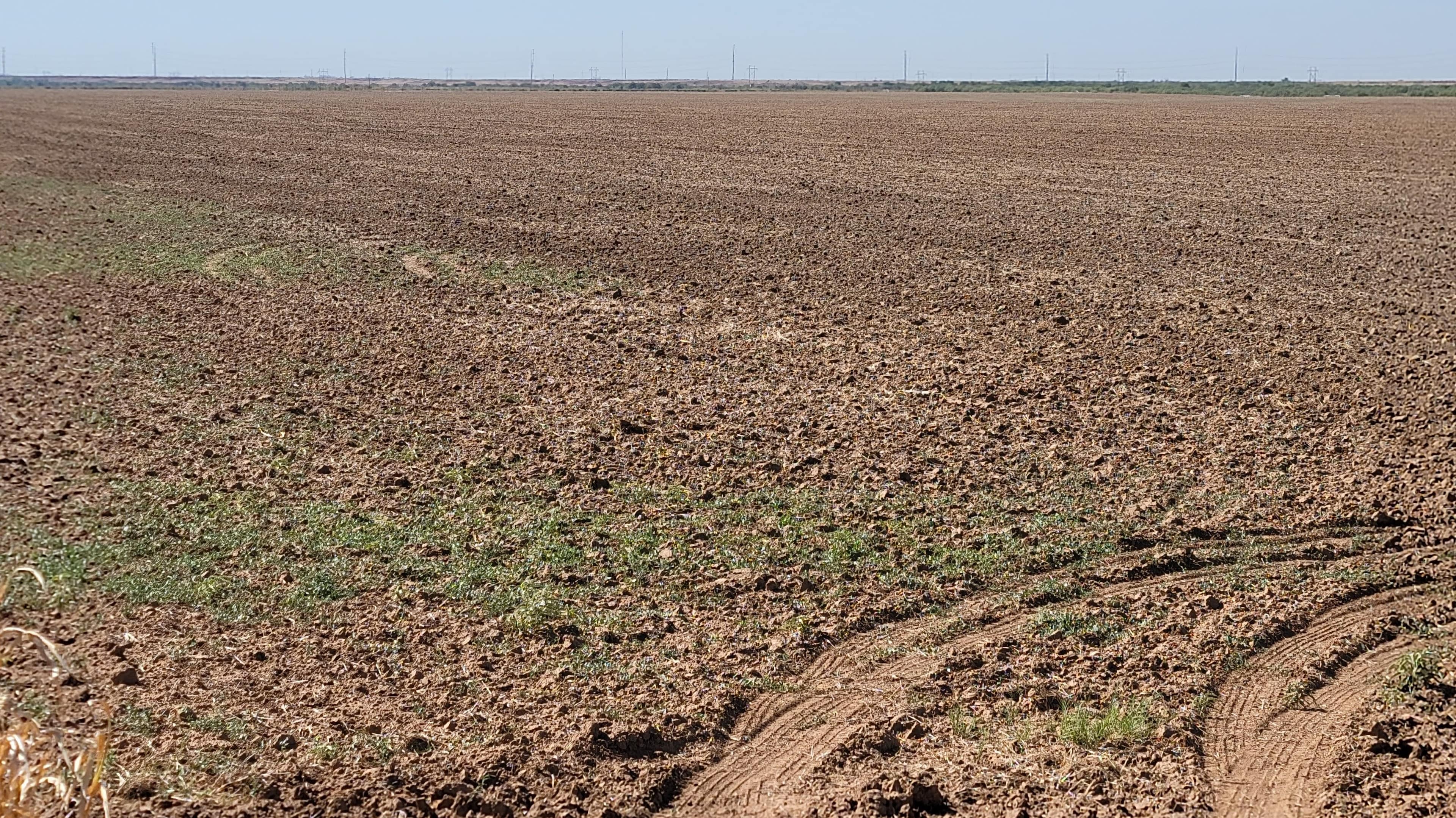 530 acre farm in Wilbarger County, Texas