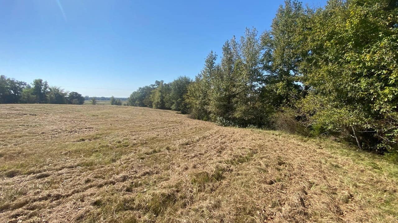 10.28 acre hunting land in Titus County, Texas