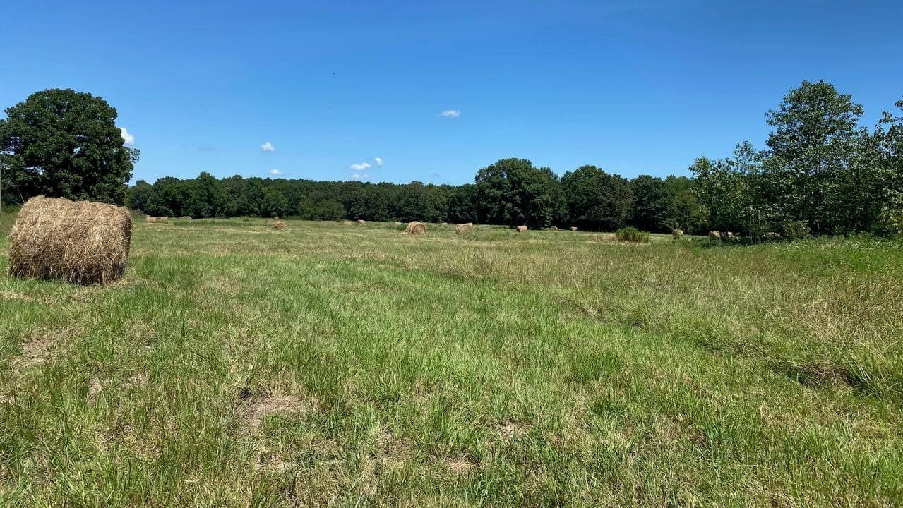 30.11 acre ranch in Red River County, Texas