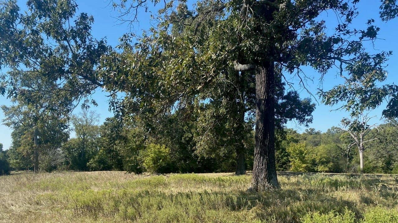31.01 acre ranch in Titus County, Texas