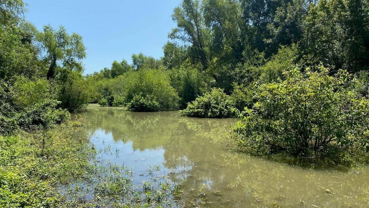 56.09 acre hunting land in Red River County, Texas