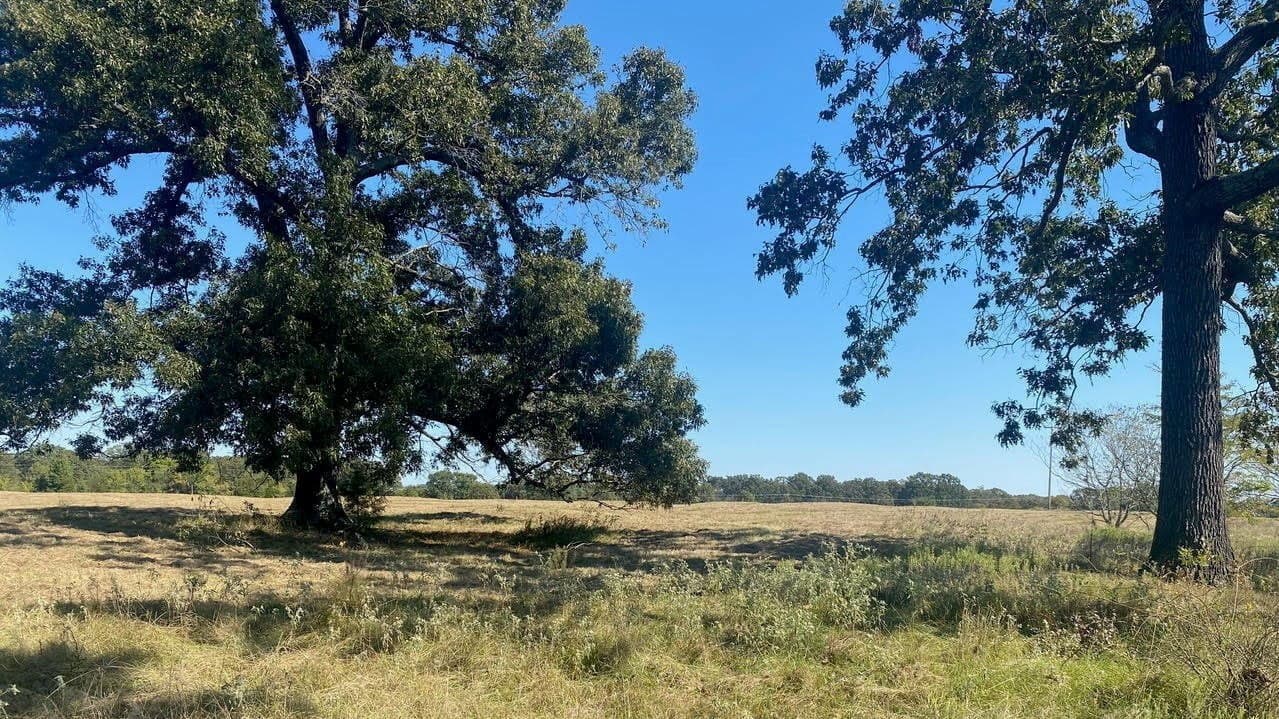 Overview of 17.17 acre ranch in Titus County, Texas