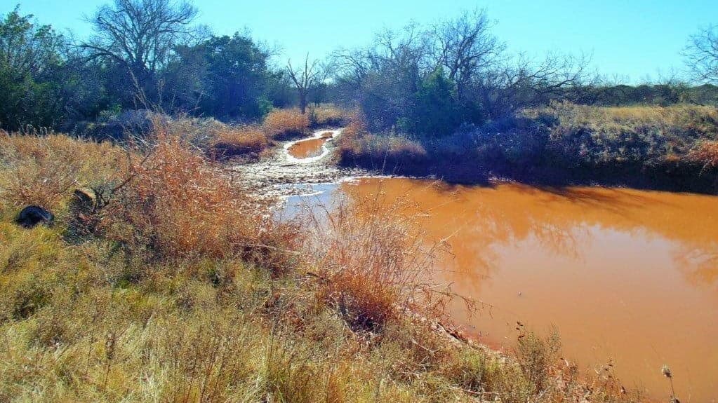 Overview of 60.25 acre hunting land in Runnels County, Texas