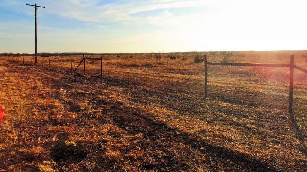 Overview of 11 acre hunting land in Taylor County, Texas