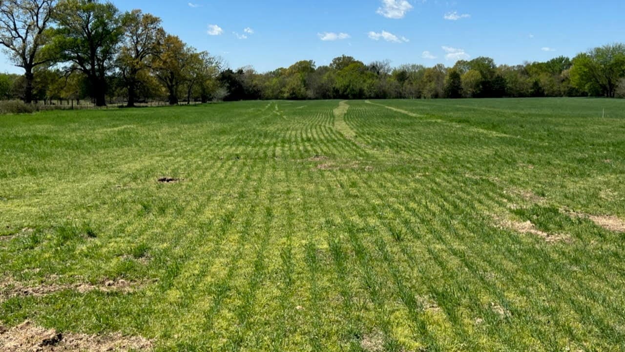 Overview of 80.38 acre farm in Rains County, Texas
