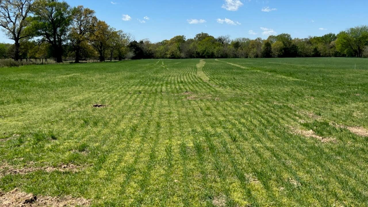 80.38 acre farm in Rains County, Texas