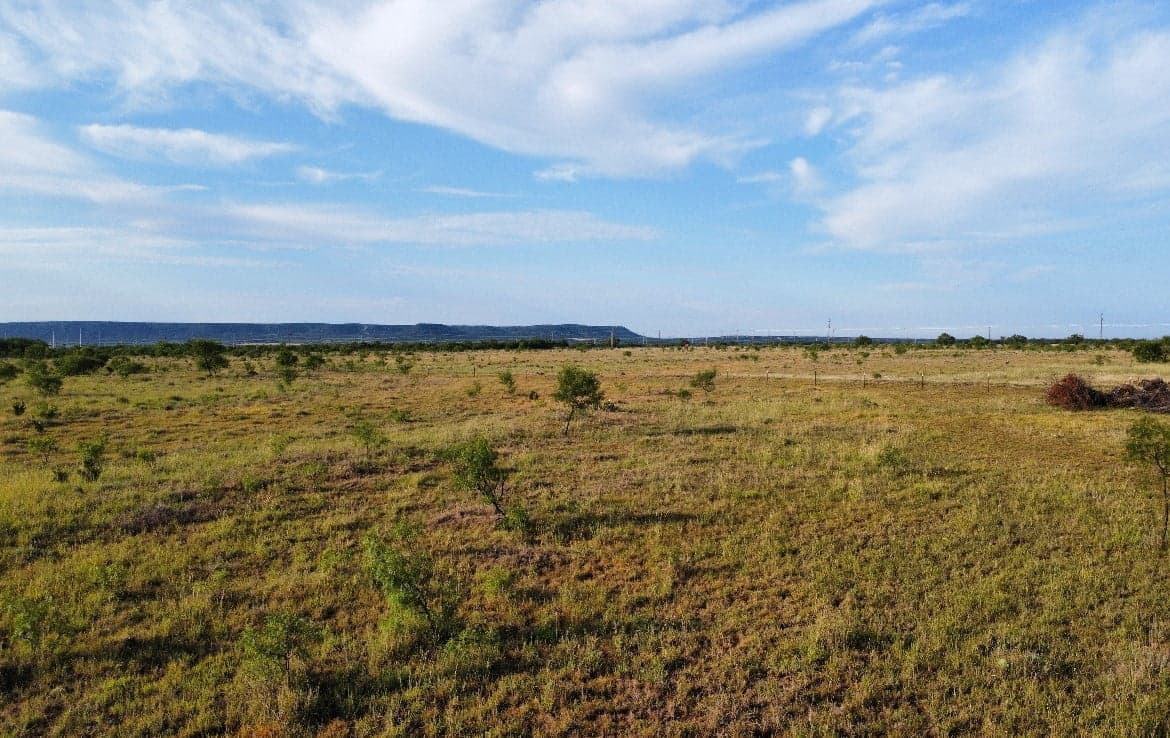 Overview of 11 acre hunting land in Taylor County, Texas
