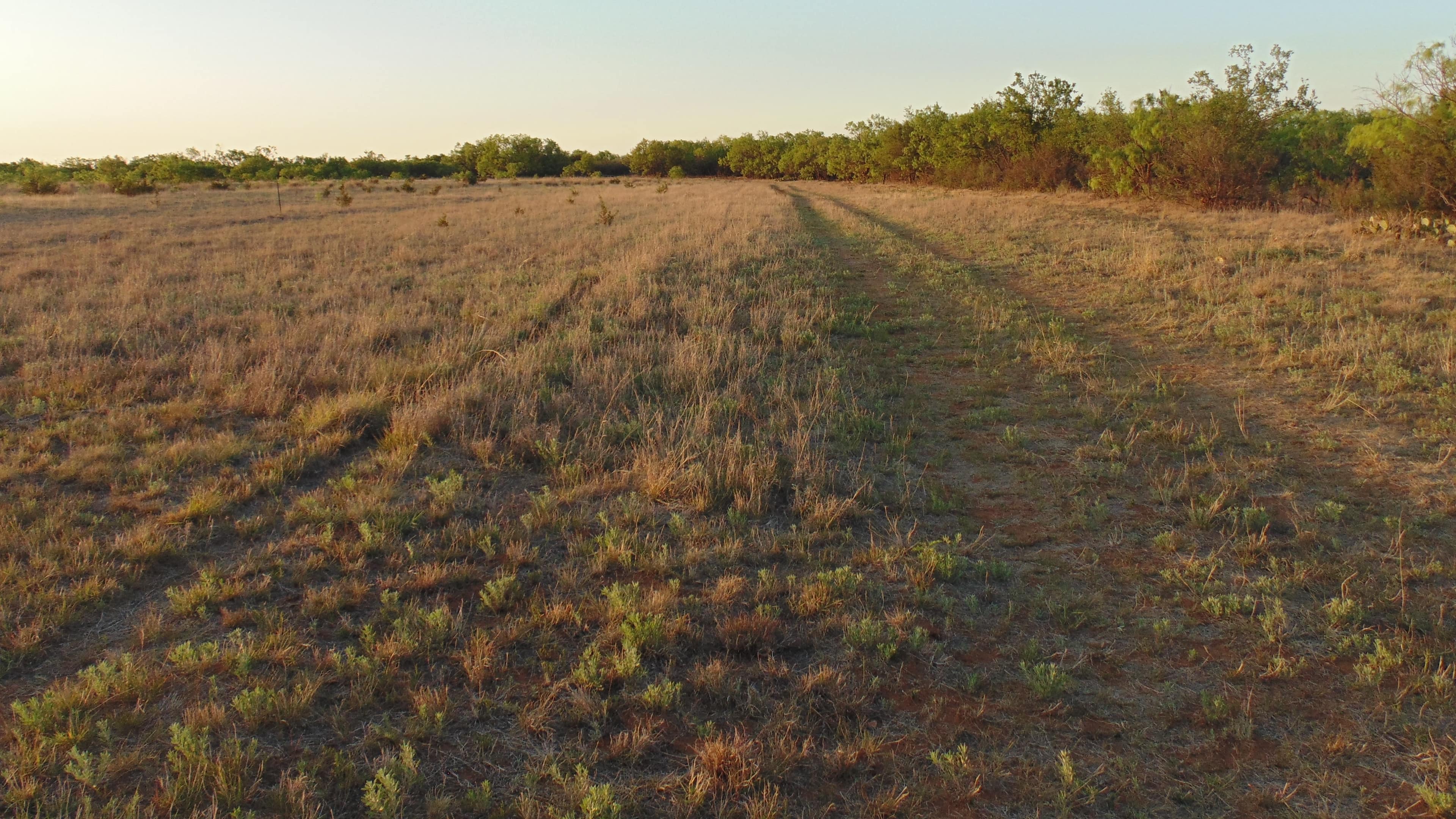 11 acre hunting land in Taylor County, Texas