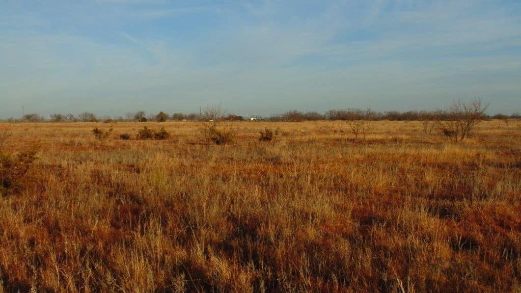 11 acre hunting land in Taylor County, Texas
