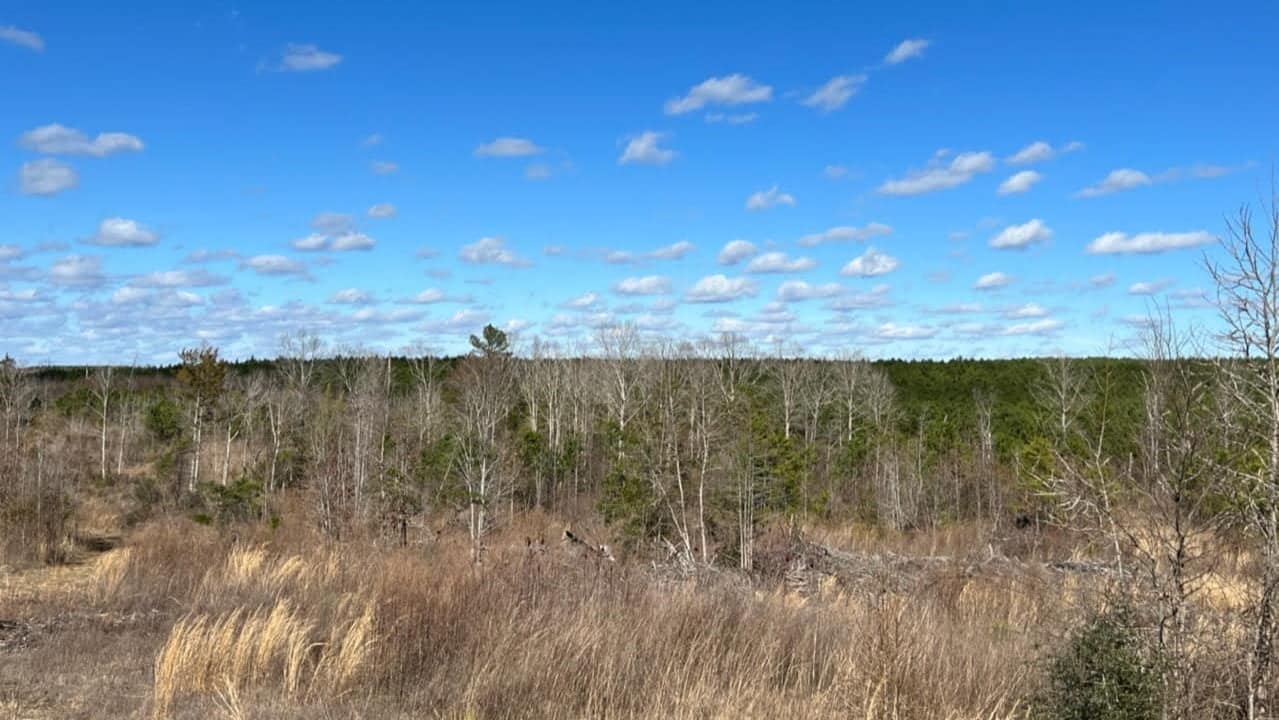36.97 acre farm in Cass County, Texas