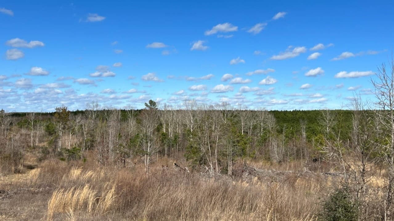 Overview of 36.97 acre farm in Cass County, Texas